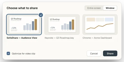 Window picker with SefaShare Audience View selected